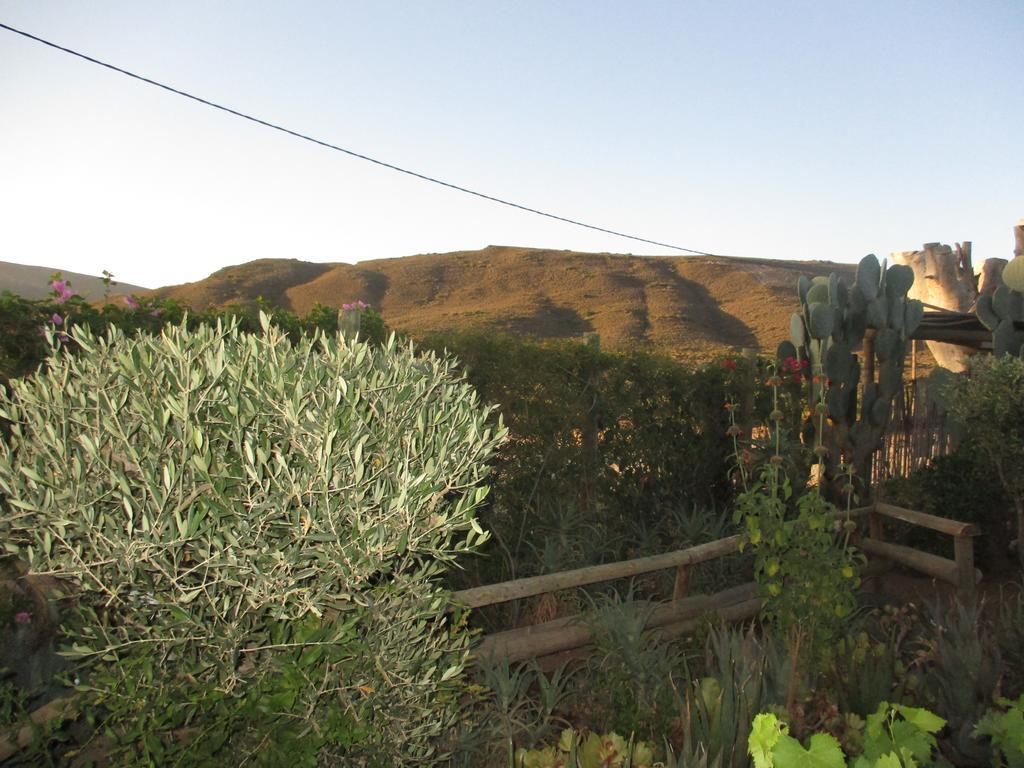 ماكغريغور Cape Cottages Sunbird Aloe المظهر الخارجي الصورة