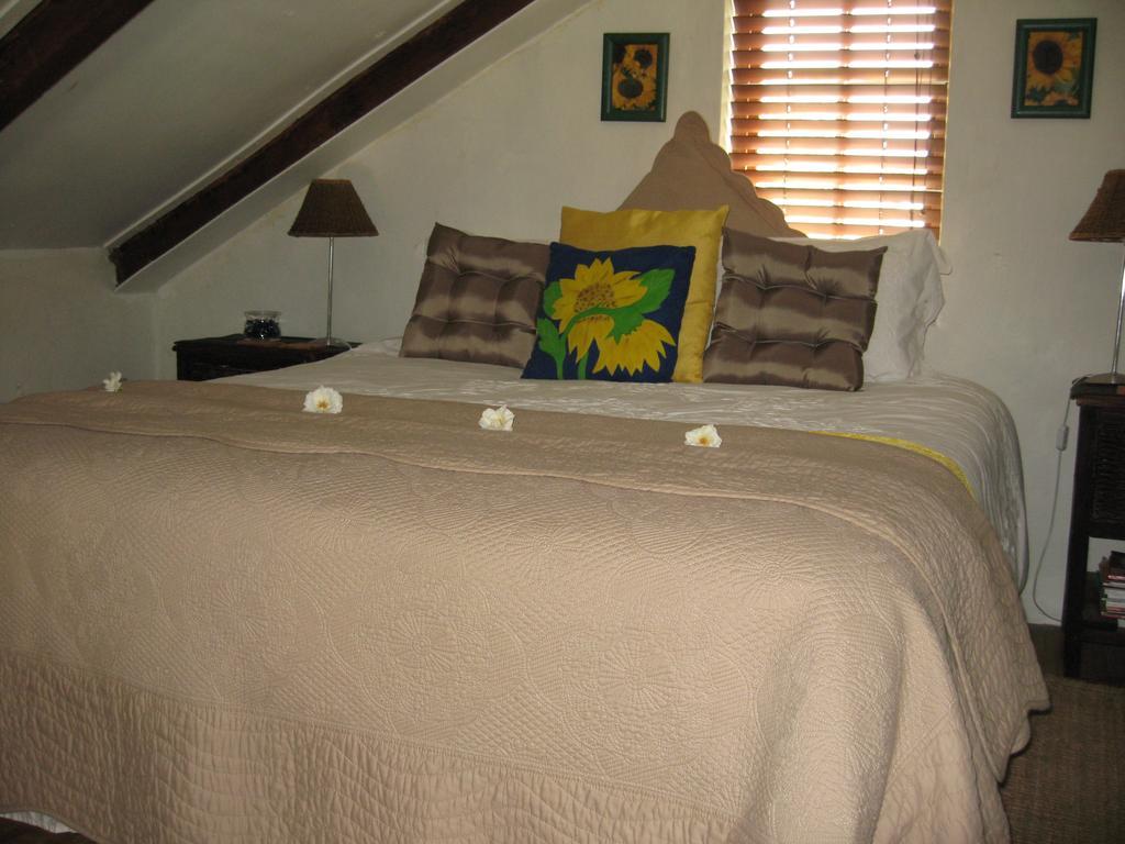 ماكغريغور Cape Cottages Sunbird Aloe الغرفة الصورة